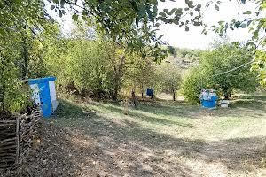 дом по адресу с. Халча, Заріччя, 4