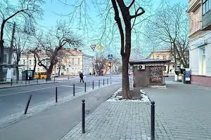 комерційна за адресою Олексія Маркевича вул. (Князівська), 1