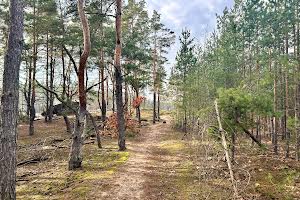 ділянка за адресою Шевченка вул.