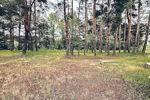 дом по адресу Лесная ул.
