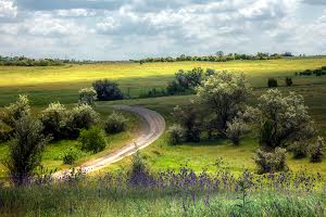 ділянка за адресою Мар'янівська