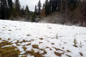 ділянка за адресою с. Гриньків, Урочище Шумляче