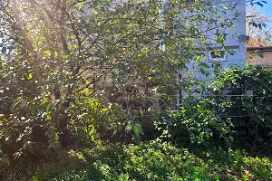 дом по адресу Центральна