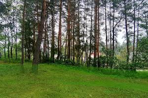 ділянка за адресою с. Лісне, Мрія