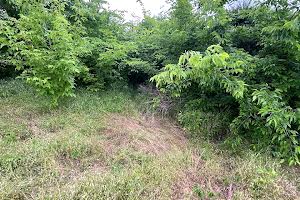будинок за адресою Рубіжна вул., 5