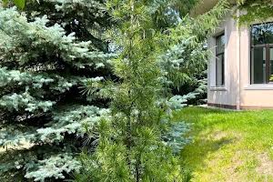 будинок за адресою Грушевського вул.