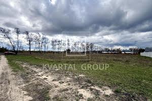 участок по адресу с. Дмитровка, Лісова, 1