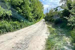 участок по адресу с. Стуфчинцы, 