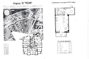 квартира за адресою Бровари, Чубинського вул., Тигр 1