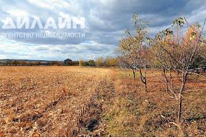 комерційна за адресою с. Біленьке, Чапаєва, 47