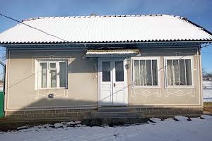 дом по адресу Царинська