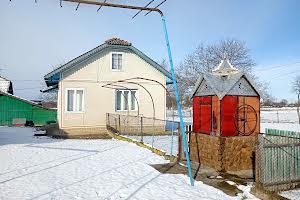 дом по адресу Царинська