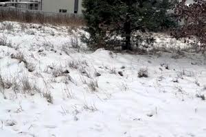 участок по адресу Боярская ул.