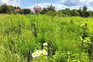 участок по адресу Комарова, 72