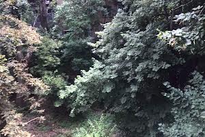 дом по адресу Куприна