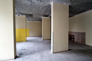 комерційна за адресою Степана Рудницького вул. (Академіка Вільямса), 19/14