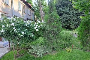квартира за адресою Піхоти Короля вул. (Лізи Чайкіної), 15