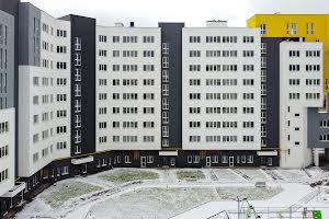 квартира за адресою Володимира Великого вул. (), 10в