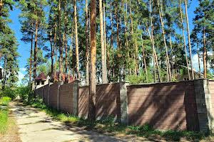 дом по адресу Деснянська, 64