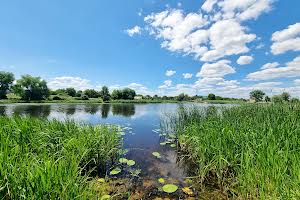 ділянка за адресою с. Глібівка, Лесі Українки, 1