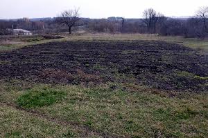 будинок за адресою Вільне