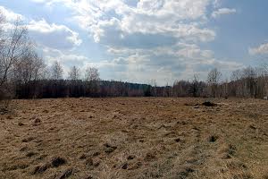 ділянка за адресою Лесі Українки, 59