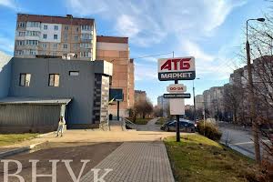 квартира за адресою Володимира Великого вул., 17
