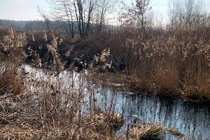 участок по адресу с. Старые Безрадичи, 