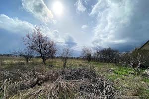 ділянка за адресою Ворошилова