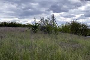 ділянка за адресою с. Сурсько-Литовське, 