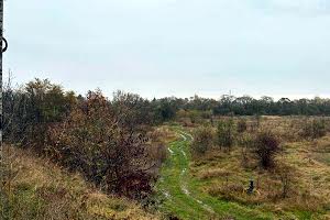 участок по адресу с. Черниев, 