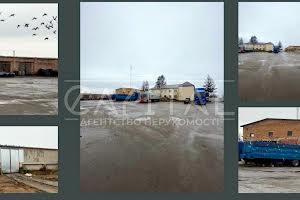 комерційна за адресою Миру вул., 7