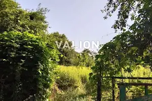 участок по адресу садова
