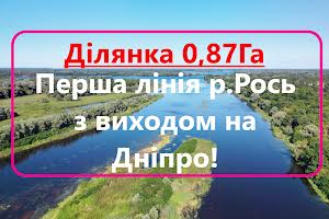 ділянка за адресою с. Хрещатик, 