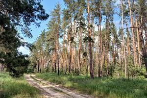 ділянка за адресою Ватутіна вул.