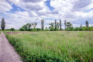 ділянка за адресою с. Супрунівка, Центральна, 1