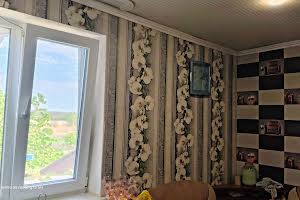 дом по адресу Камишева, 33