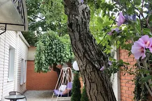 дом по адресу 1-й Хрустальный пер., 6