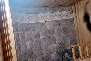 дом по адресу с. Дениши, Центральна