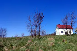 участок по адресу с. Зарванцы, 