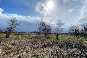 ділянка за адресою Ворошилова