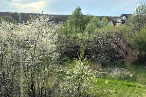 будинок за адресою Шевченка, 6