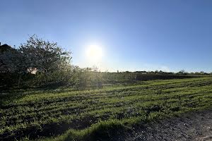 участок по адресу с. Ружичанка, Шкільна