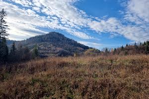 ділянка за адресою с. Орявчик, Розтока Перша вул.