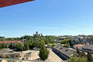 комерційна за адресою Тараса Шевченка вул., 38