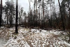 участок по адресу Котляревського, 53