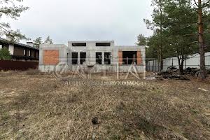 дом по адресу Вишгородський