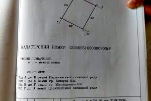 участок по адресу пгт. Царичанка, Піонерська