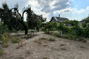 дом по адресу Андрія Розумовського ул. (Декабристов)