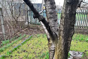 дом по адресу СК Волна